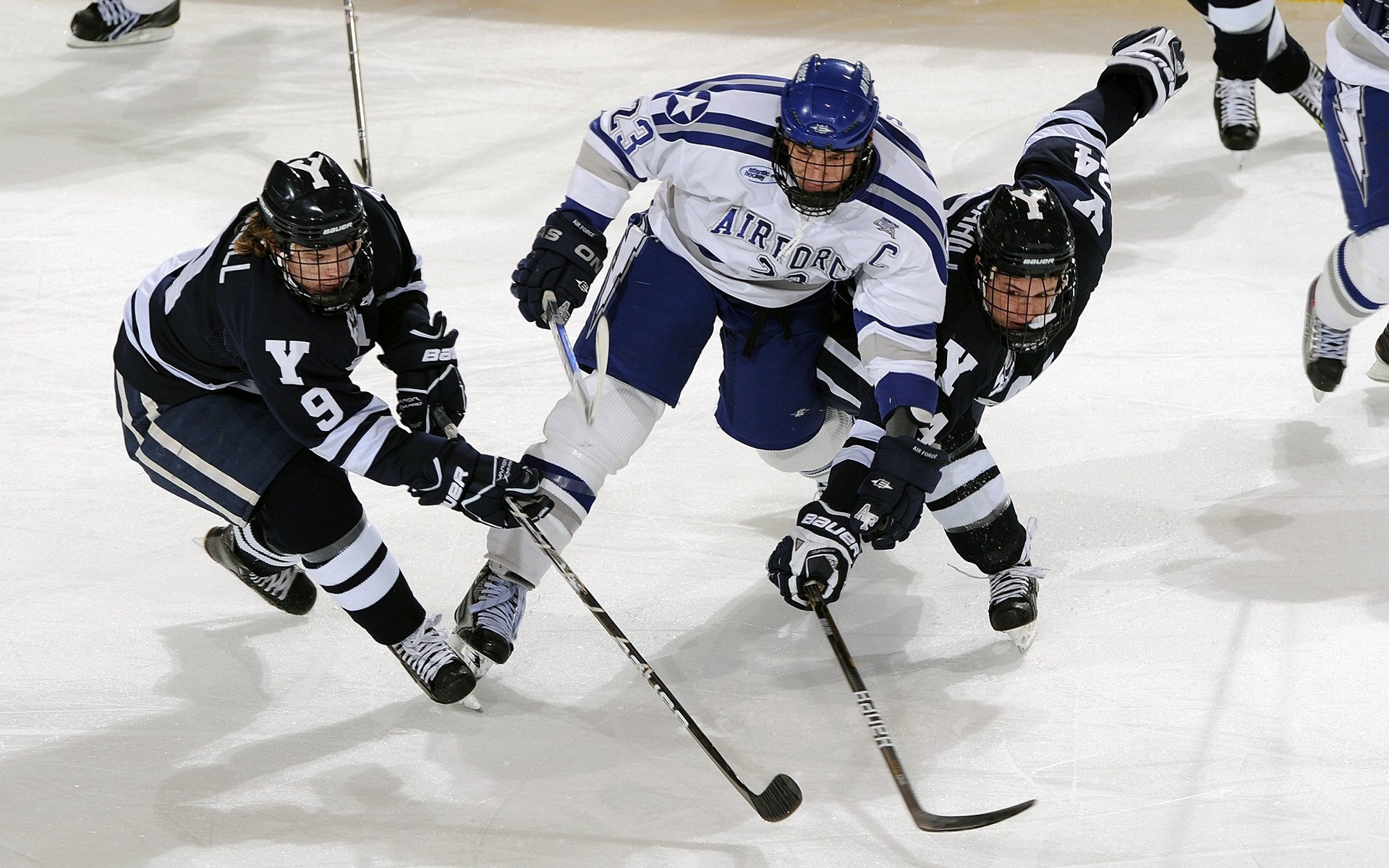 “冠军光荣瞬间：荣誉背后的感人故事”，讲述荣誉